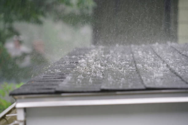 Best Skylight Installation and Repair  in Mukilteo, WA